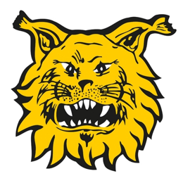 Tampereen Ilves